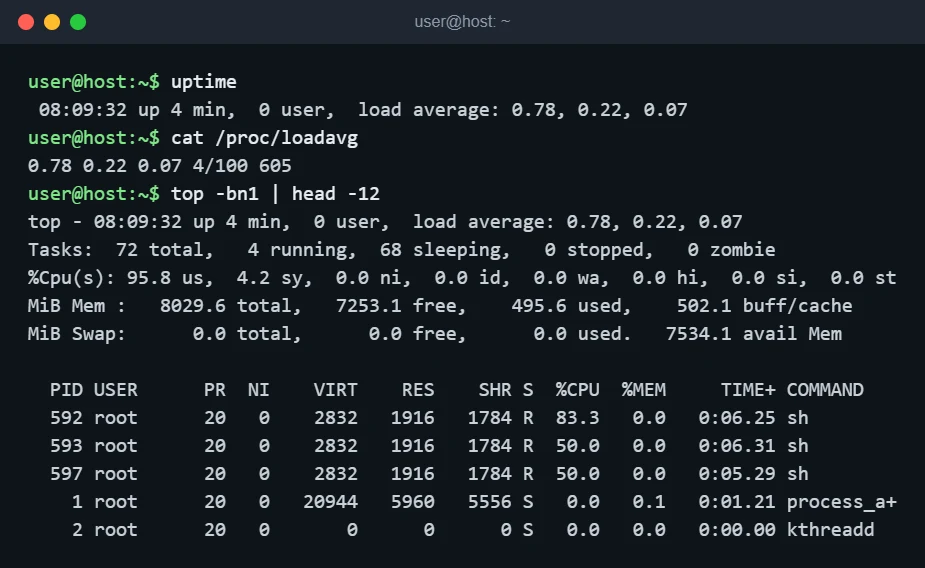 Terminal output of uptime, /proc/loadavg and top -bn1 showing three busy processes and 95.8 percent user CPU