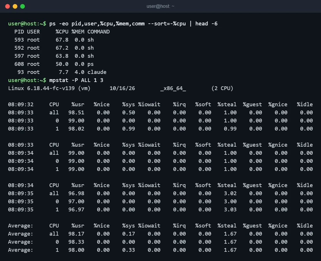 Terminal output of ps sorted by CPU and mpstat -P ALL showing both CPUs near 98 percent user time and about 1.7 percent steal