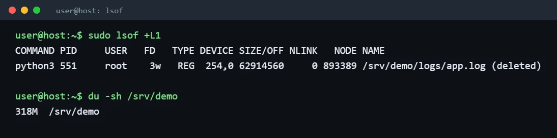 Terminal output of lsof +L1 showing a deleted file still held open by python3 and du reporting less space than is used