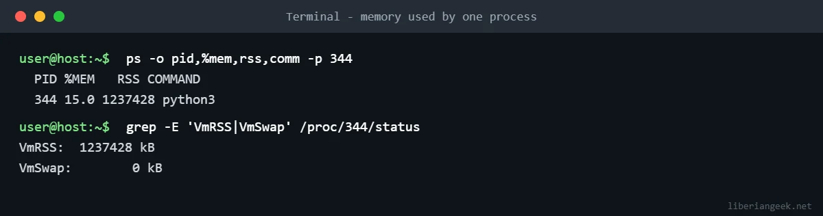 Terminal output of ps -o pid,%mem,rss,comm and VmRSS from /proc showing one process using about 1.2 GB of memory