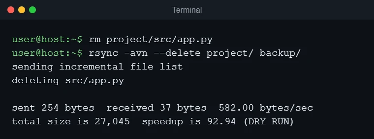 Terminal showing rsync -avn --delete reporting deleting src/app.py as a dry run
