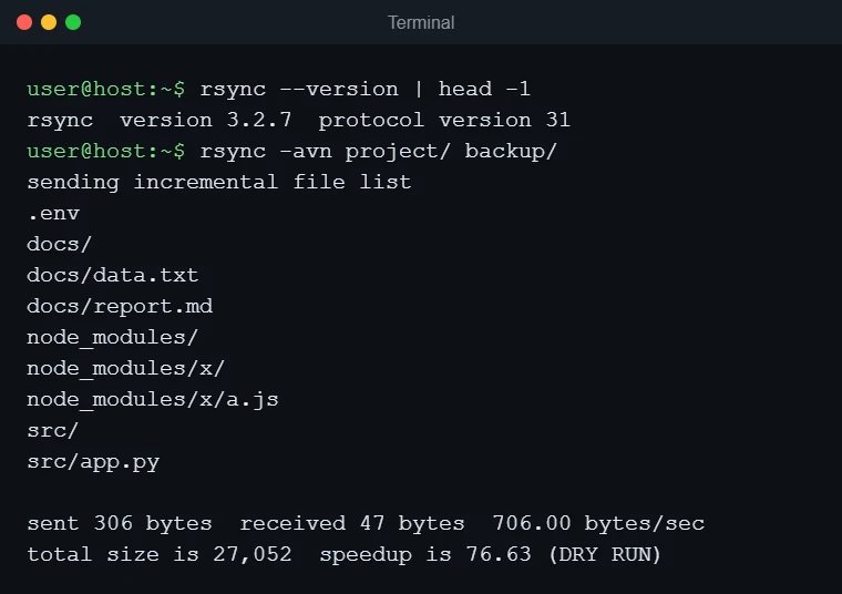 Terminal showing rsync -avn project/ backup/ listing the files a dry run would copy, ending with (DRY RUN)