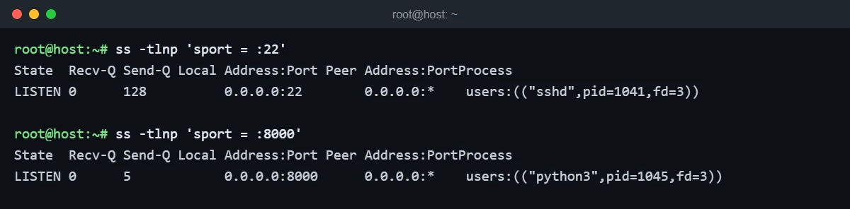 ss -tlnp filtered by port showing sshd on port 22 and python3 on port 8000